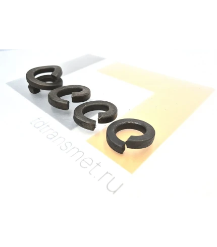 shajba-odnovitkovaya